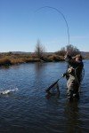 Jose's Afterburner Tungsten Trout Fishing Flies