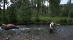 UV Black Mirage Frenchie Tungsten Nymphs for Trout