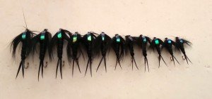Black Flashback Stone Fly Nymphs - 12 Pack