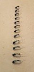 Black Zebra Midge Nymphs - 1 Dozen, Size 16-20