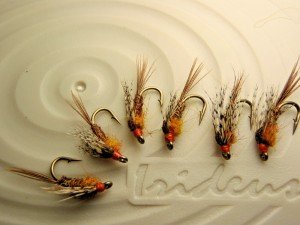 Irideus Pheasant Tail Nymph Fishing Flies