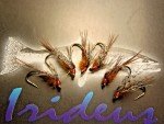 Irideus Pheasant Tail Nymph Fishing Flies