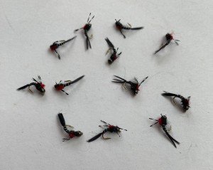 12 Pack Size 20 Black S.O.S. Nymph Flies