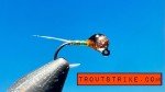 10 Peacock Flash Tungsten Euro Nymphs