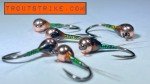 10 Peacock Flash Tungsten Euro Nymphs