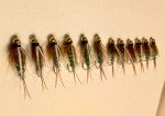 Bead Head Electric Prince Nymphs for Trout