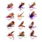 12 Pack Trout Fly Fishing Lures - Dry/Wet Flies