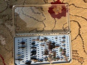 Fly Fishing Flies and Boxes Set - Dry and Nymphs