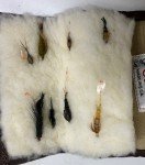 Orvis Early Season Weighted Nymphs for Trout
