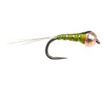 36 Tungsten Bead Perdigon Nymphs Trout Fly Assortment