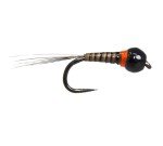 36 Tungsten Bead Perdigon Nymphs Trout Fly Assortment