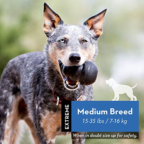 KONG Black Extreme Dog Toy for Medium Dogs