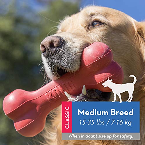 KONG Goodie Bone - Dental Chew Toy for Dogs