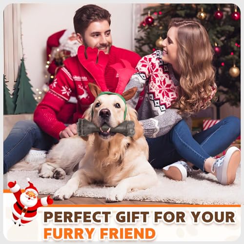 Large Tough Dog Toy for Aggressive Chewers, Indestructible