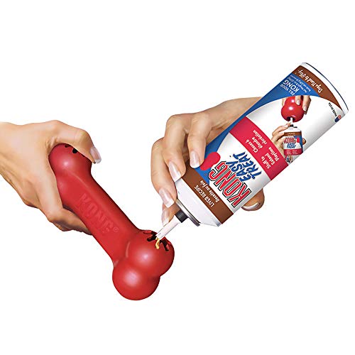 KONG Goodie Bone - Dental Chew Toy for Dogs