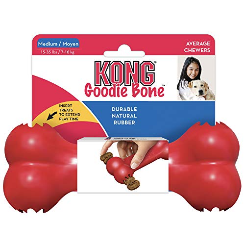 KONG Goodie Bone - Dental Chew Toy for Dogs