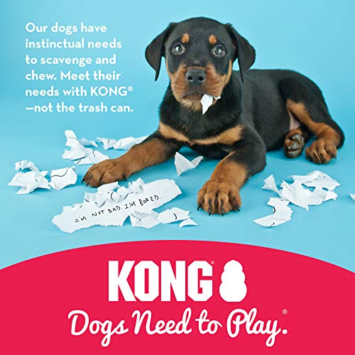 KONG Natural Teething Rubber Toy for Medium Puppies