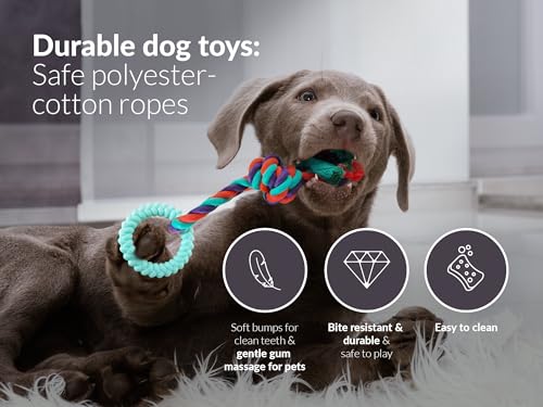 Panda Products - Premium Dog Chew Toy Set | 6-Piece