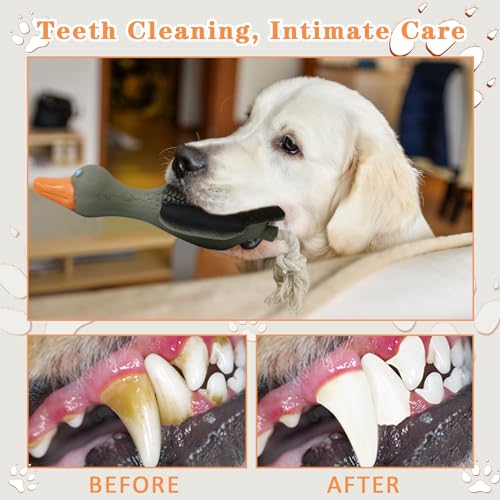 Interactive Tough Dog Chew Toys for Large Breeds