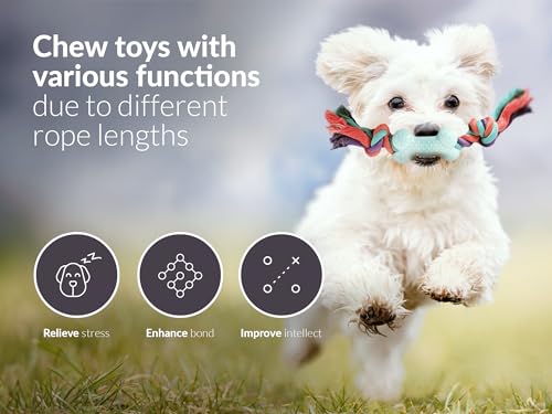 Panda Products - Premium Dog Chew Toy Set | 6-Piece