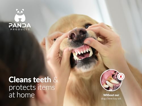 Panda Products - Premium Dog Chew Toy Set | 6-Piece