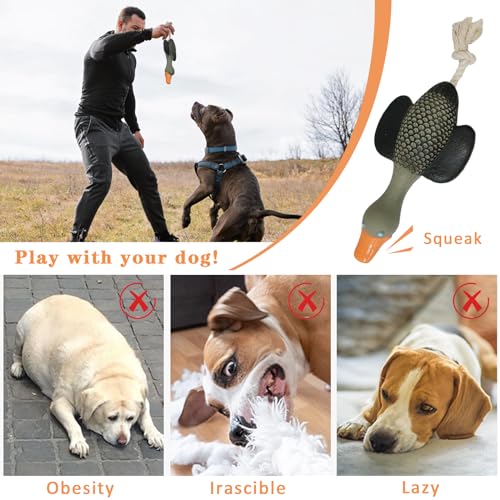 Interactive Tough Dog Chew Toys for Large Breeds
