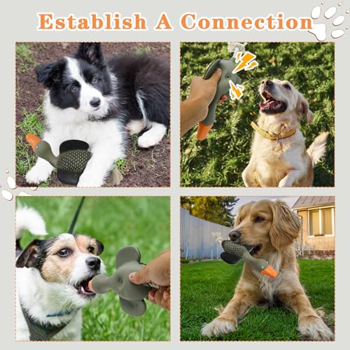 Interactive Tough Dog Chew Toys for Large Breeds