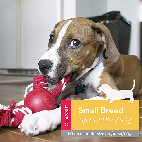 KONG Ball with Rope: Durable Fetch & Chew Toy