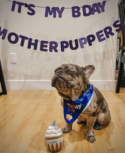 Pup Cake Plush Squeak Toy for Dog Birthday