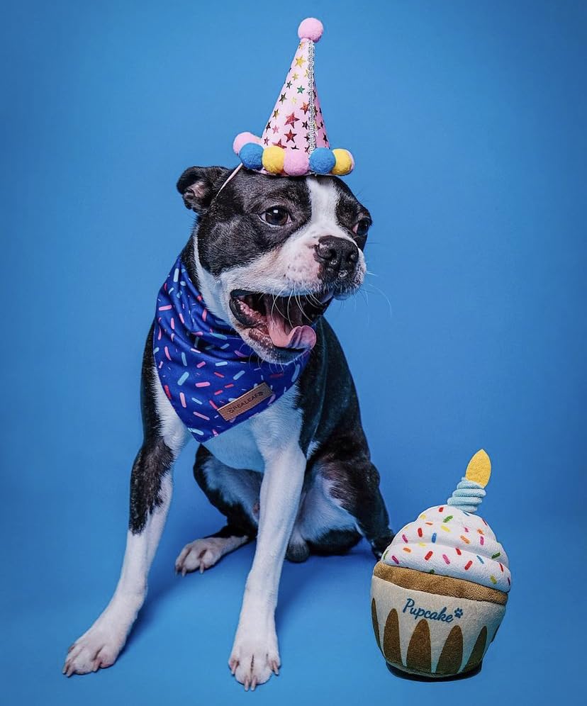 Pup Cake Plush Squeak Toy for Dog Birthday