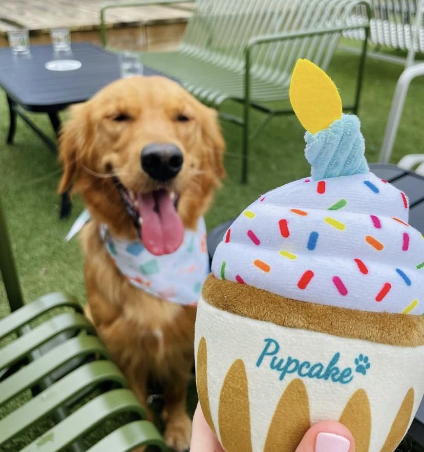 Pup Cake Plush Squeak Toy for Dog Birthday