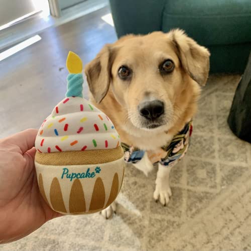 Pup Cake Plush Squeak Toy for Dog Birthday