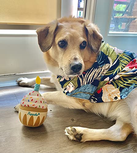 Pup Cake Plush Squeak Toy for Dog Birthday
