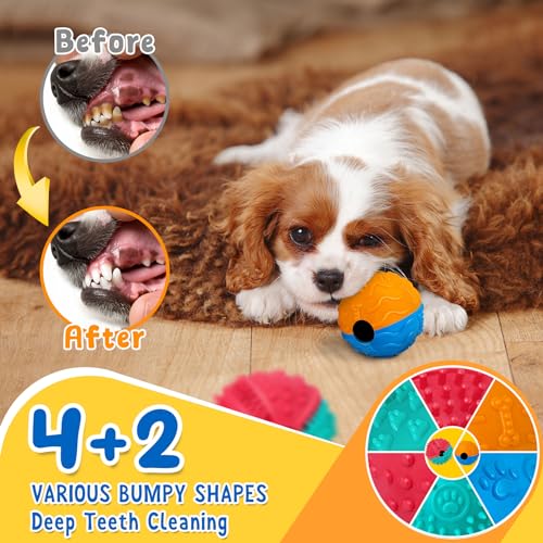 Interactive Dog Toys for Teething in 2 Pack