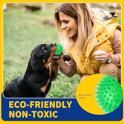 5 Pack Squeaky Dog Balls for Small/Medium Dogs