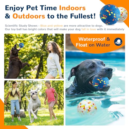 Durable Dog Toy Balls for Medium to Large Dogs