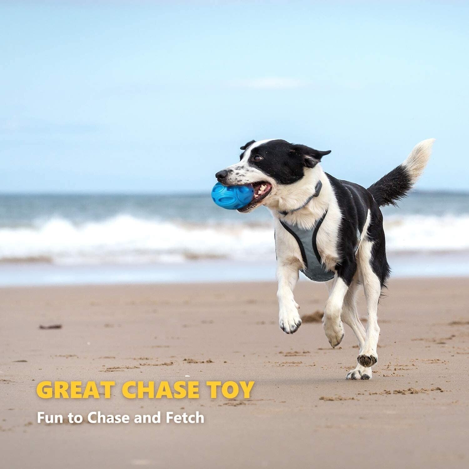 Aggressive Chewer's Indestructible Tough Dog Chew Toys