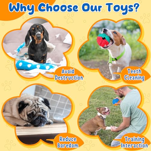 Interactive Dog Toys for Teething in 2 Pack