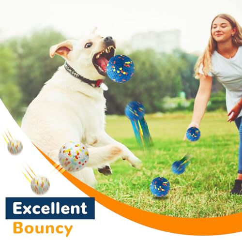 Durable Dog Toy Balls for Medium to Large Dogs