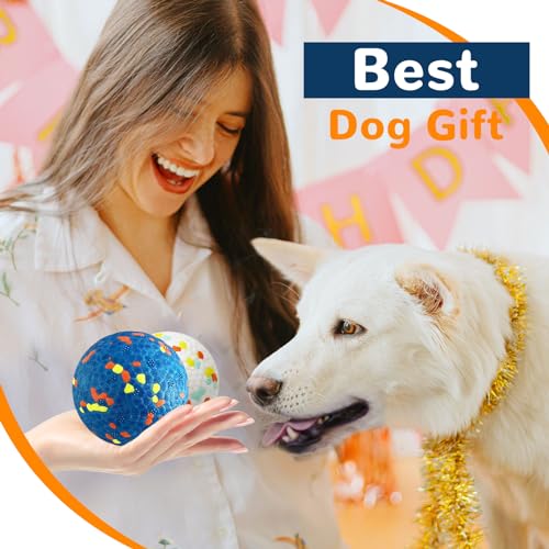 Durable Dog Toy Balls for Medium to Large Dogs