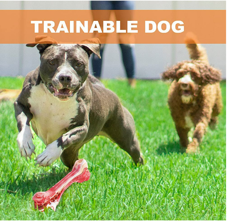 Indestructible Dog Chew Bone Toy for Aggressive Chewers