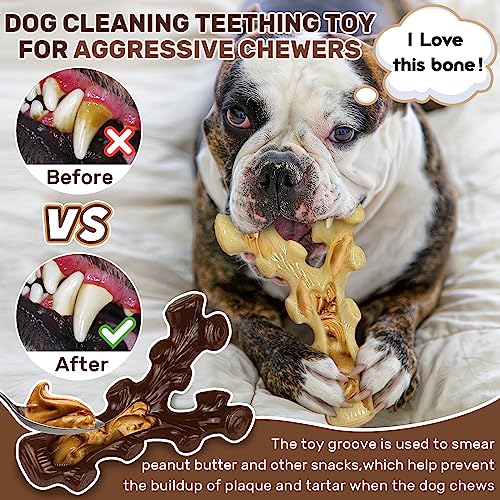 2-Pack Tough Dog Chew Toys for Aggressive Chewers