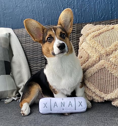 Nestpark Chill Pup Parody Squeaky Crinkle Dog Toy