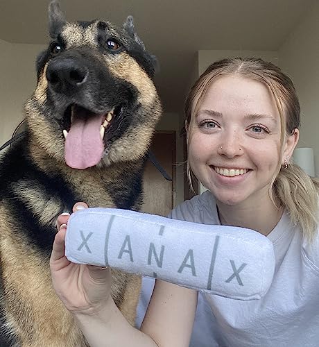 Nestpark Chill Pup Parody Squeaky Crinkle Dog Toy