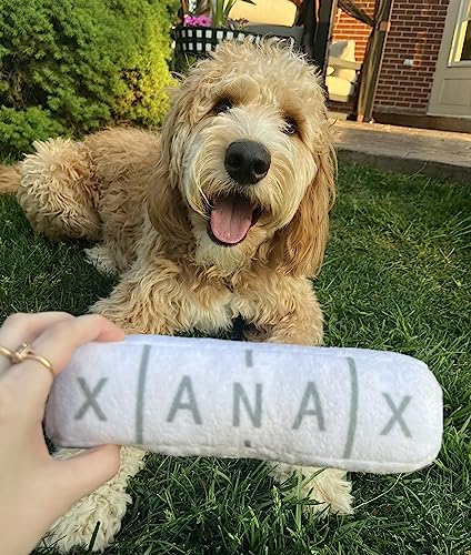 Nestpark Chill Pup Parody Squeaky Crinkle Dog Toy