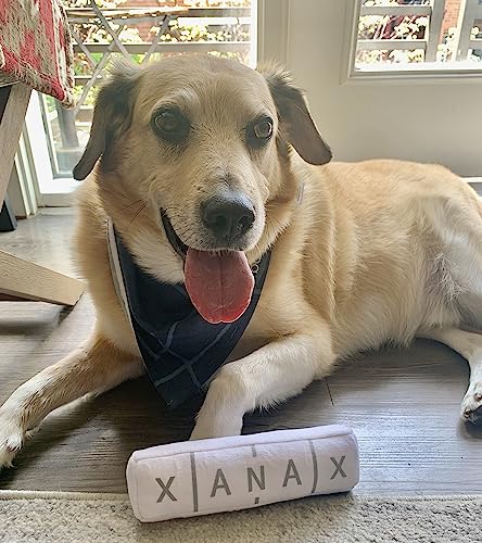 Nestpark Chill Pup Parody Squeaky Crinkle Dog Toy