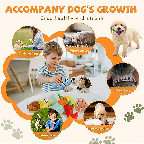 Charming Chorus Squeaky Dog Toys Set - 20 Pack