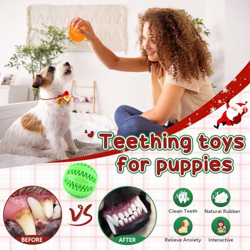 9-Pack Luxury Dog Toy Bundle with Interactive Treat Ball