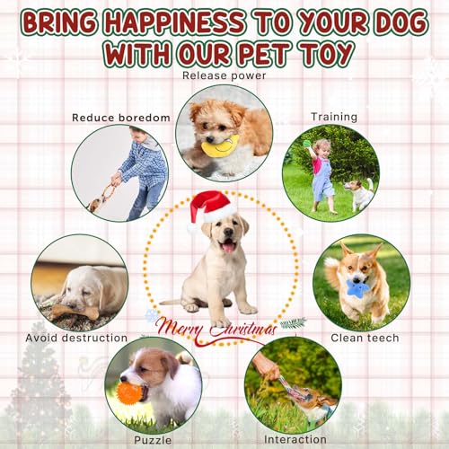 9-Pack Luxury Dog Toy Bundle with Interactive Treat Ball