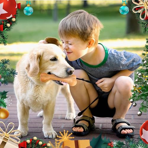 9-Pack Luxury Dog Toy Bundle with Interactive Treat Ball